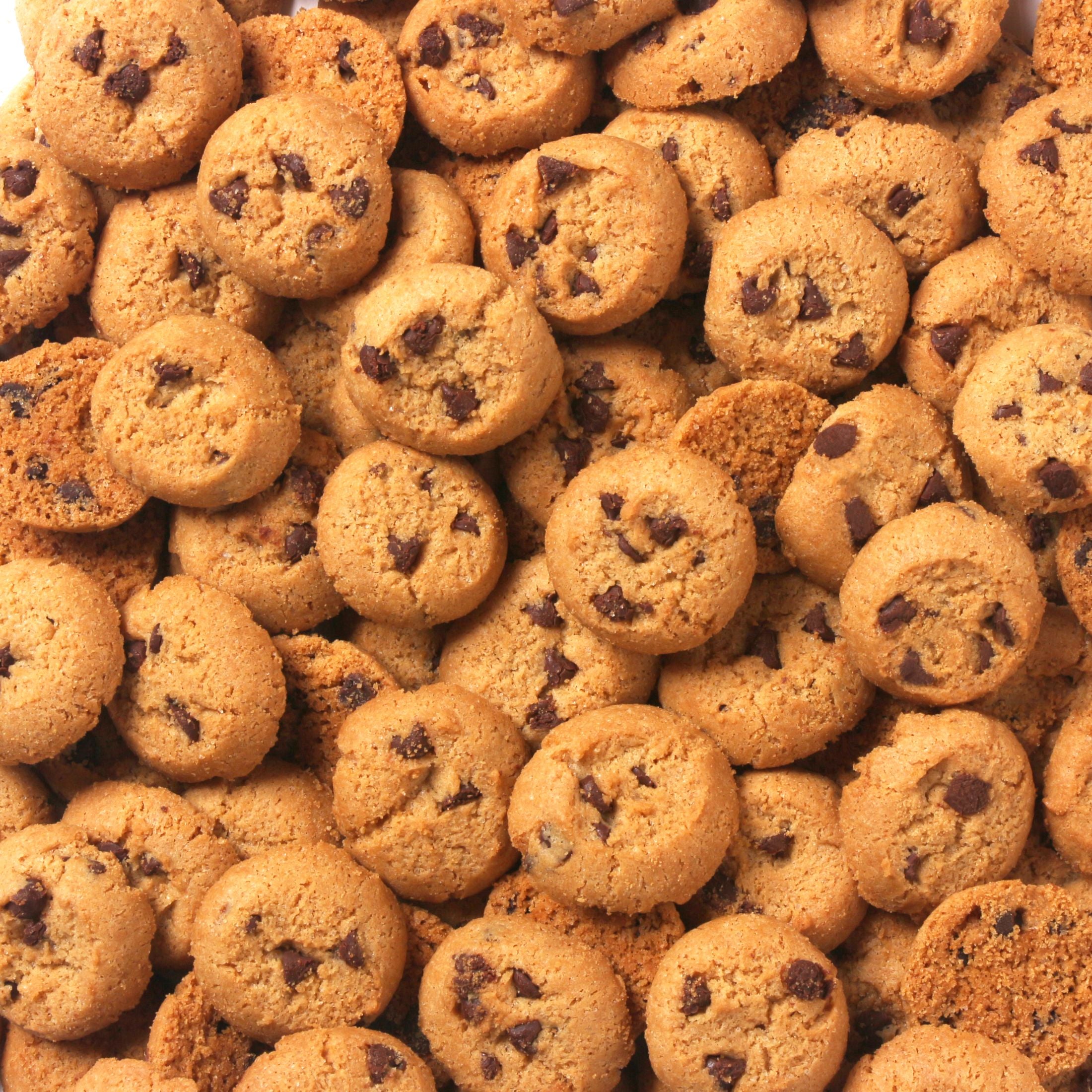 mini chocolate chips in large pile used as background